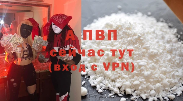 мяу мяу мука Михайлов