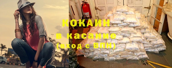 меф Арсеньев