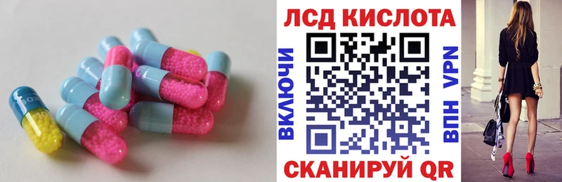 OMG ссылки  Приморск  Лсд 25 экстази кислота 