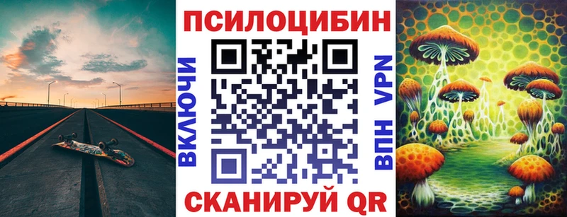 Псилоцибиновые грибы Psilocybe  Приморск 